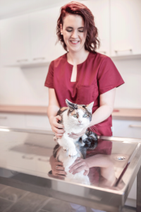 Lisa Miehle Tierarzt Katzen
